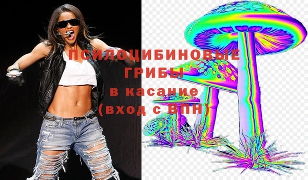 гидропоника Белокуриха