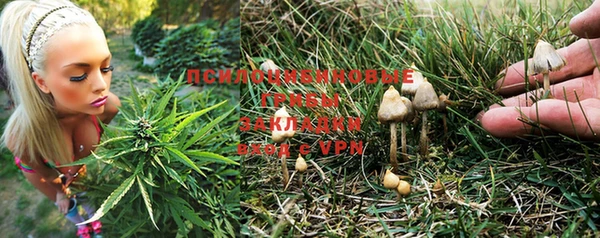 гидропоника Белокуриха