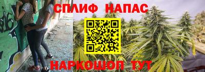 шишки Берёзовский