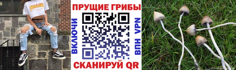 мега ТОР  купить наркотики сайты  Воркута  Галлюциногенные грибы мухоморы 